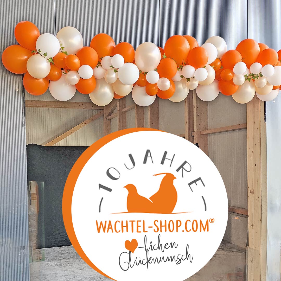 Ballongirlande in orange-weiß zum 10jährigen Jubiläum von Wachtel-Shop.com